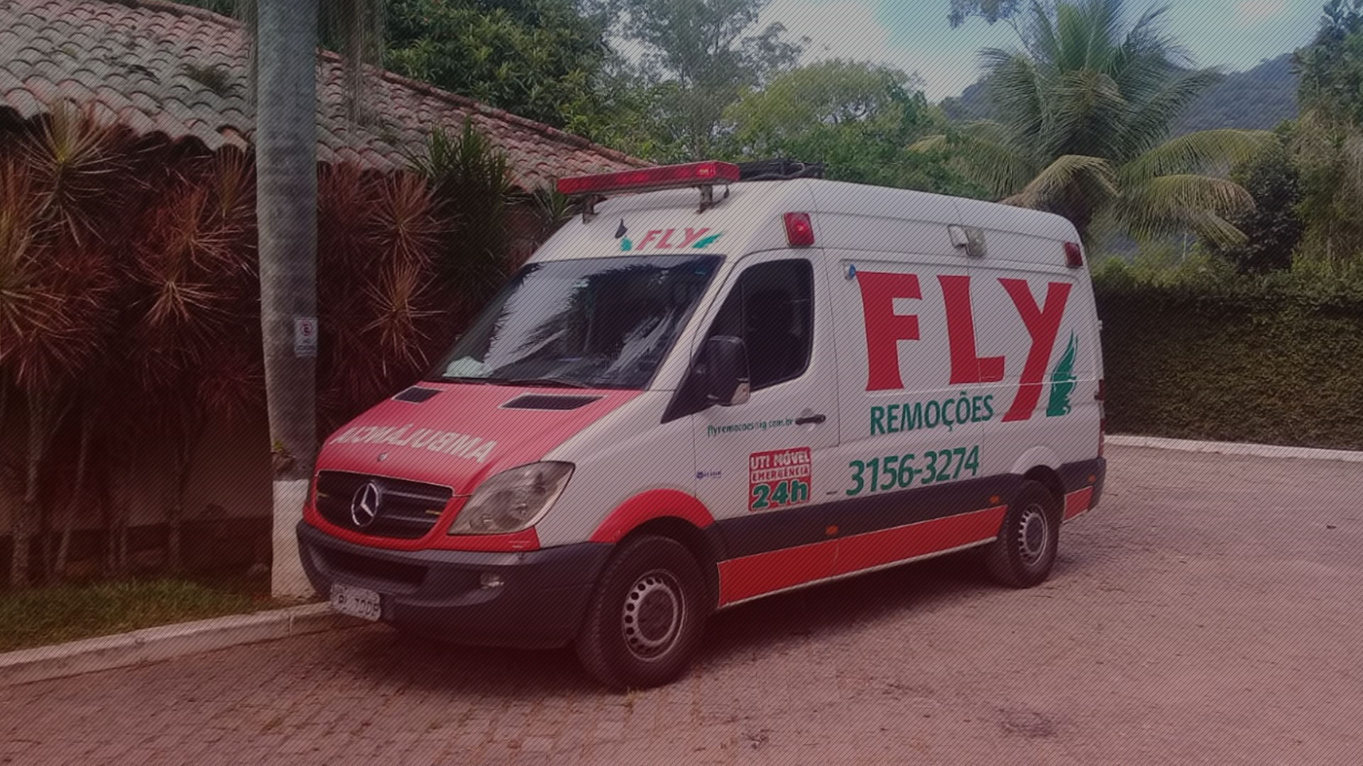 &nbsp;FLY REMOÇÕES&nbsp;