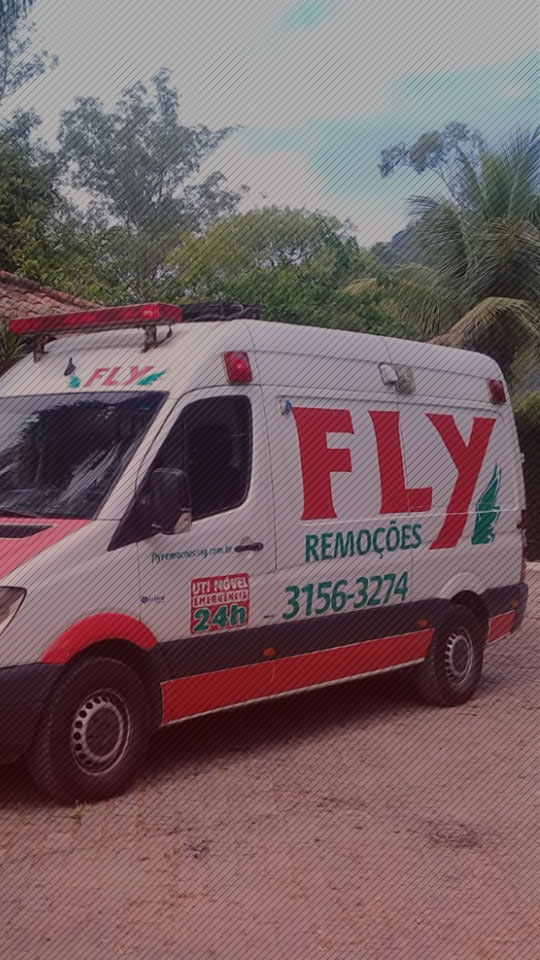 &nbsp;FLY REMOÇÕES&nbsp;